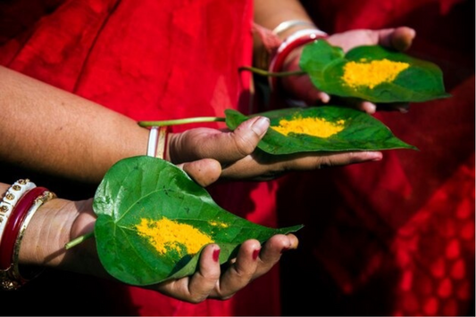A Leaf of Devotion: How Paan Leaves Connect Hindu Believers to the Divine