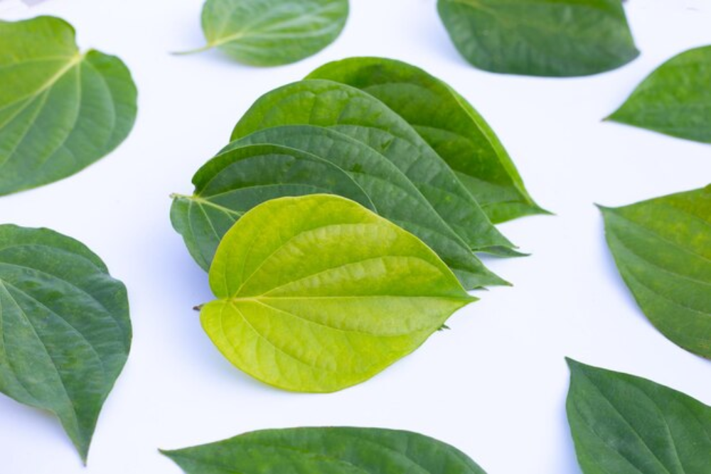 The Symbolism of Paan in Hindu Worship: Unveiling the Spiritual Significance