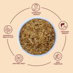 Roasted Coriander Seed - Dhana Dal Mukhwas